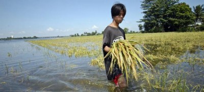 Conflicts and extreme climate change threatens access to food in 39 countries â€“ UN agriculture report