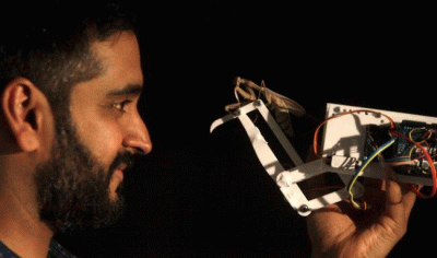 New 3D vision discovered in praying mantis