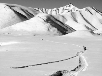 6.4 earthquake hits Alaska, no casualty 