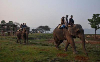 Assam: Rhino Population Estimation begins in Kaziranga