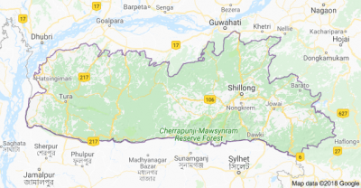 BSF seizes 50 cattle in Meghalaya along Indo-Bangladesh border