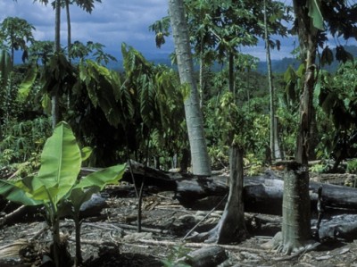 UN launches Environmental Rights Initiative