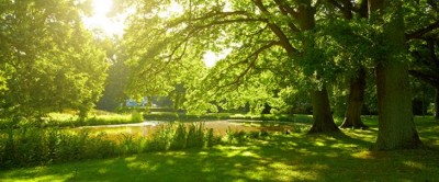 Spending time outside is good for health: Study