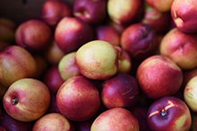 India' retail inflation eases to 5.07 pct in January 