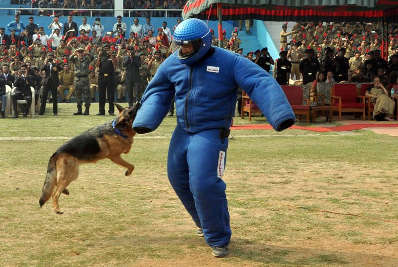 NCC Directorate West Bengal & Sikkim celebrated its 70th Raising Day in Kolkata 