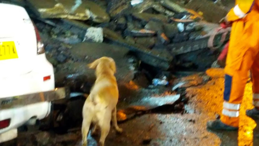 Kolkata bridge collapse: NDRF brings trained dog to find if anyone is trapped under the wreckage