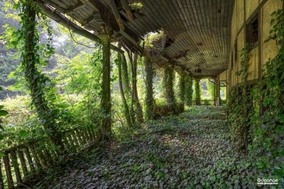 Ninth edition of Art Bengaluru opens on November 2, will also feature Film Bengaluru