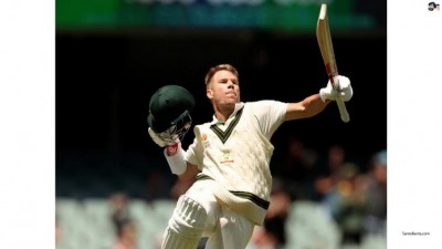 Tim Paine's decision to declare innings anger several fans as David Warner was batting at unbeaten 335