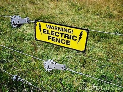 Three persons electrocuted while trying to rescue accident victims