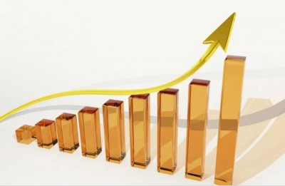 Minda Industries Q2 net profit moves down by 32 per cent