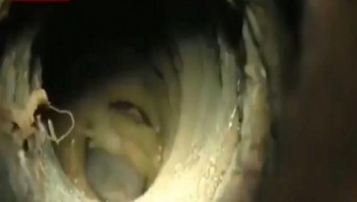 Toddler pulled out dead from borewell in Tamil Nadu  