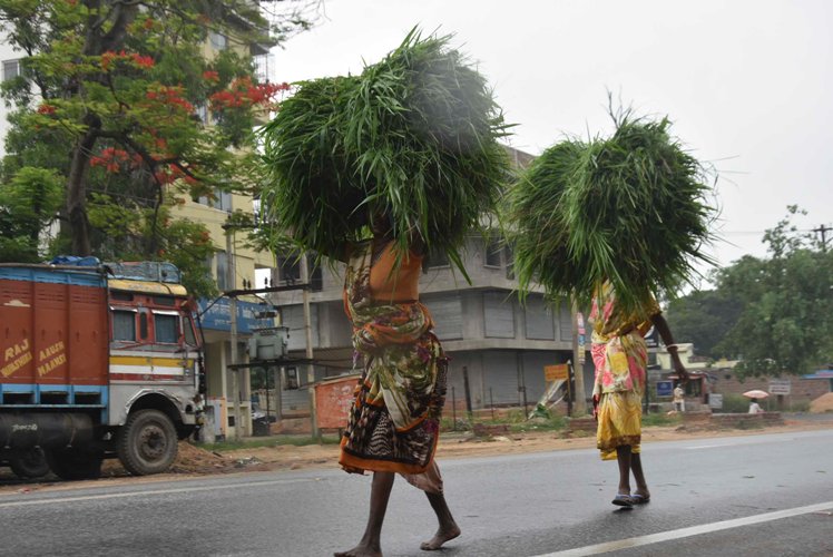 Labourers in safe place during rain and wind before cyclone Amphan