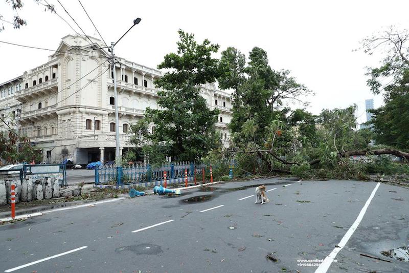 Cyclone Amphan leaves trail of devastation in West Bengal capital Kolkata