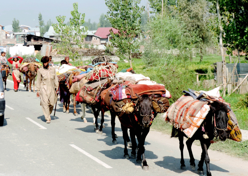 Nomadic people moving to lower regions ahead of winter in Kashmir
