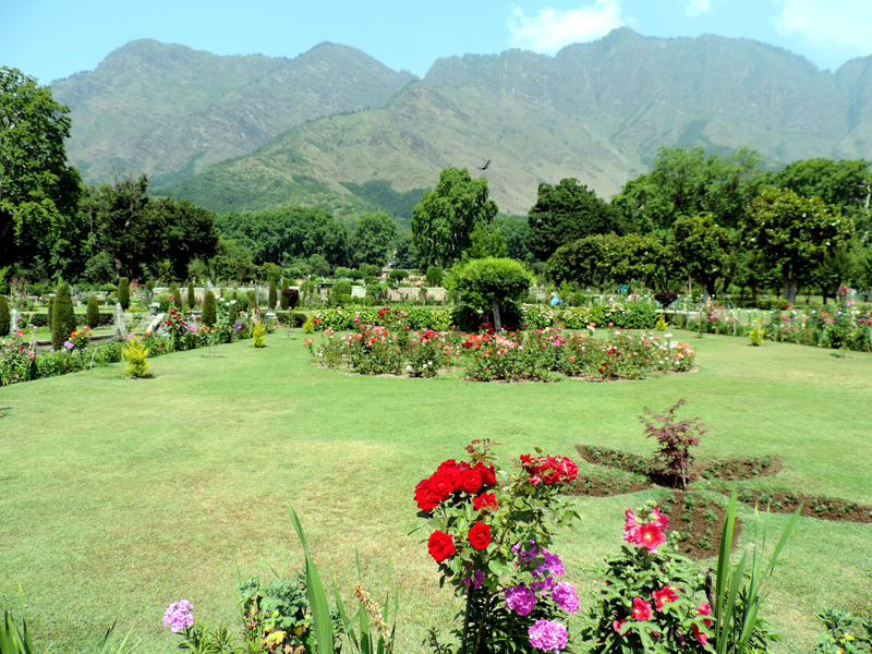 Kashmir in Images: (July 8, 2020)