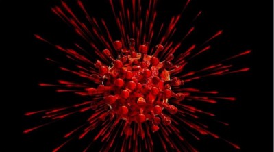 WHO to send missions to Tajikistan, Turkmenistan next week : Regional director