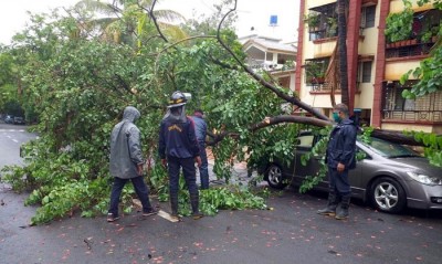 Cyclone Nisarga uproots tree in Pune