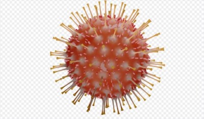 COVID-19 death toll surpasses 5,00,000-mark globally