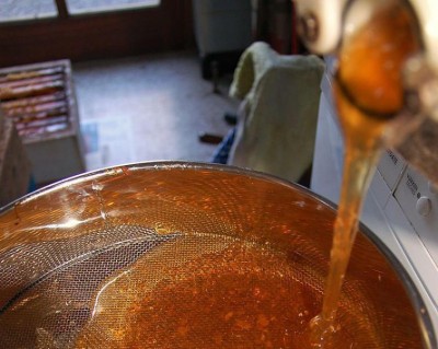 A non-caloric natural sweetener that can make cancer therapy using magnetic nano particles more efficient: Experts