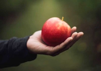 Jammu and Kashmir: Apple farmers express happiness over new farm laws