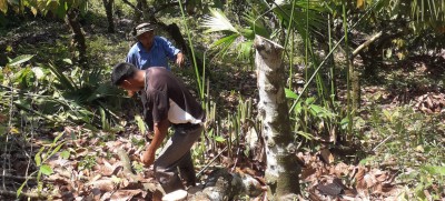 Pandemic highlights importance of indigenous self-determination: UN rights chief