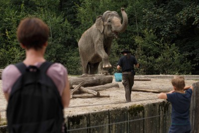 Slovenia: Visitors view Elephant Ganga playing with her keeper at the Ljubljana Zoo