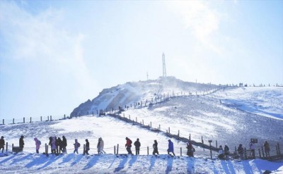 China's Heilongjiang reports no new COVID-19 cases