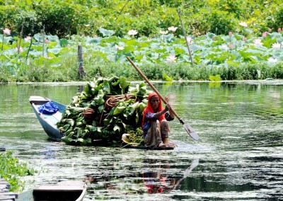 Dal Lake in Srinagar