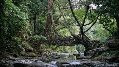 Meghalaya to re-open for tourists ahead of Christmas