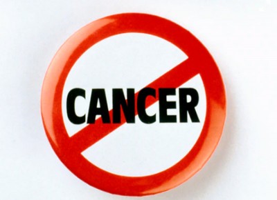 Polymer derived from material in shrimp’s shells could deliver anti-cancer drugs to tumor sites: Study