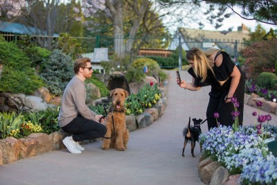 Sanasar belt of Ramban district in Kashmir