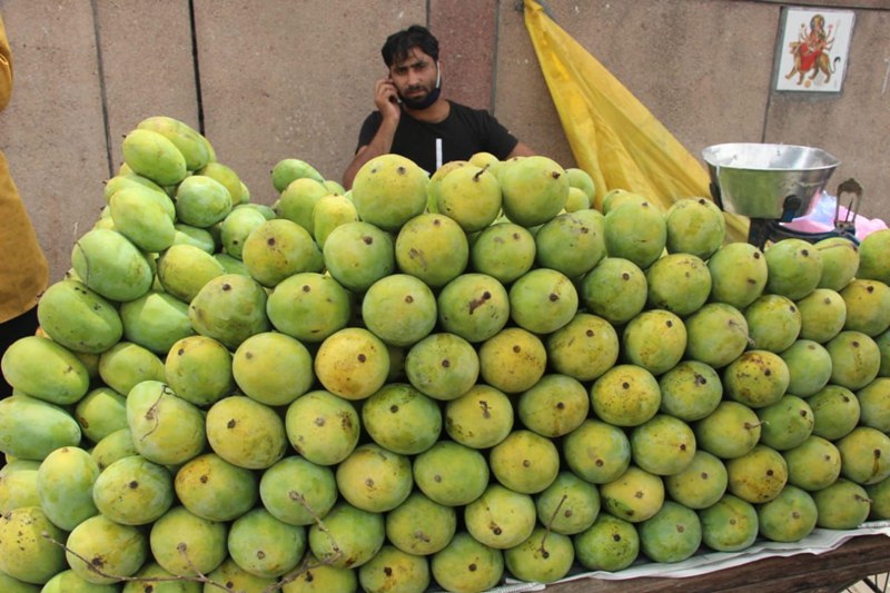 Fruit vendor selling mangoes in New Delhi