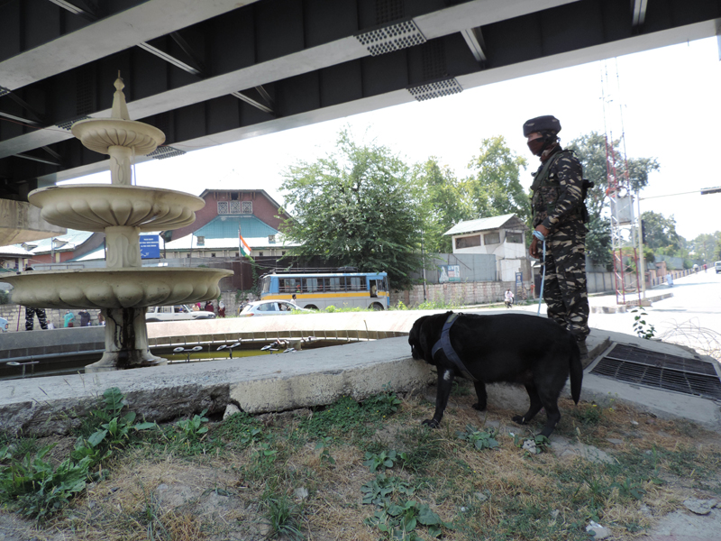 Independence Day celebration in Kashmir
