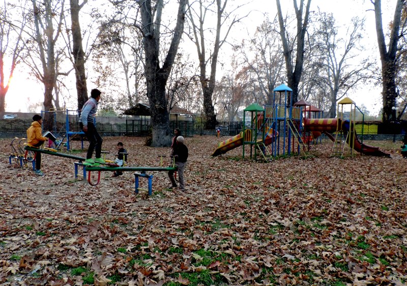 Children play in a park with Chinar leaves scattered all over in Kashmir