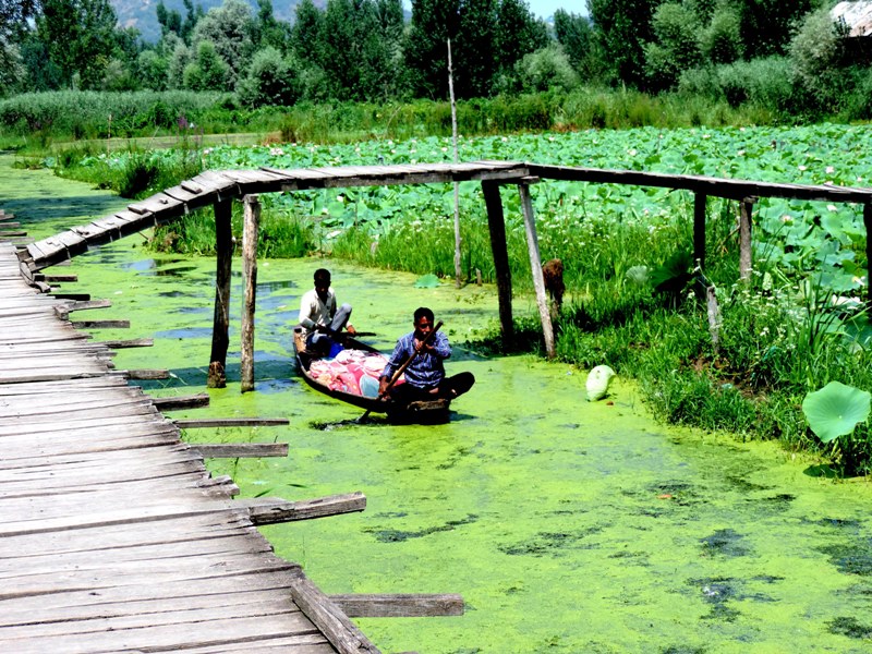 Dal Lake in Srinagar