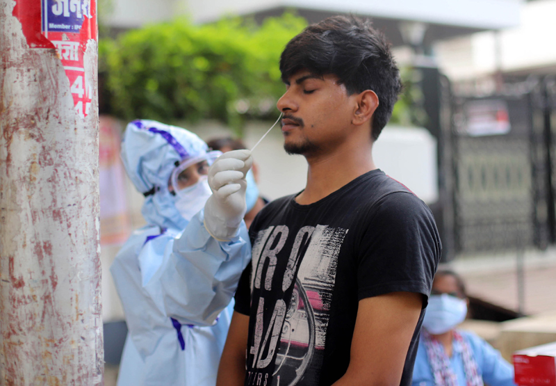 Prayagraj: Health worker collects swab