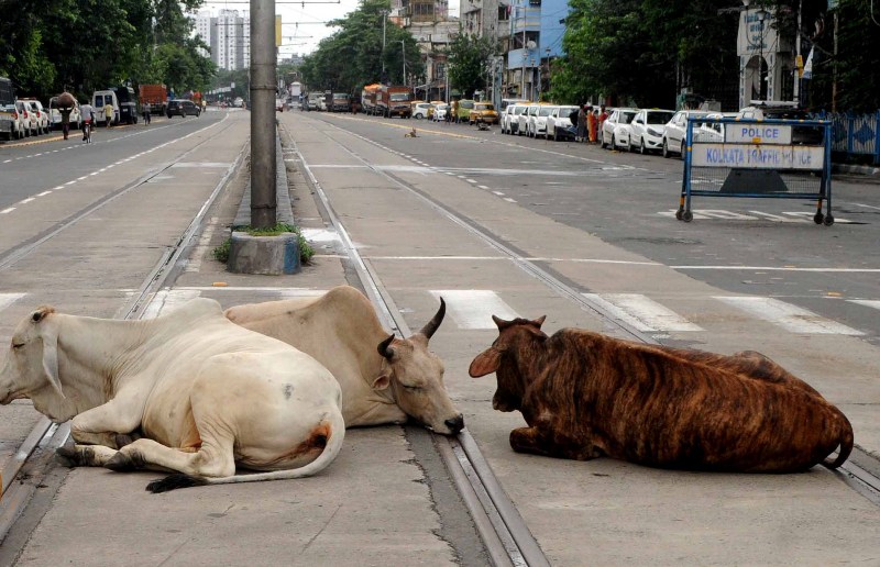 A view of deserted roads during lockdown in Kolkata