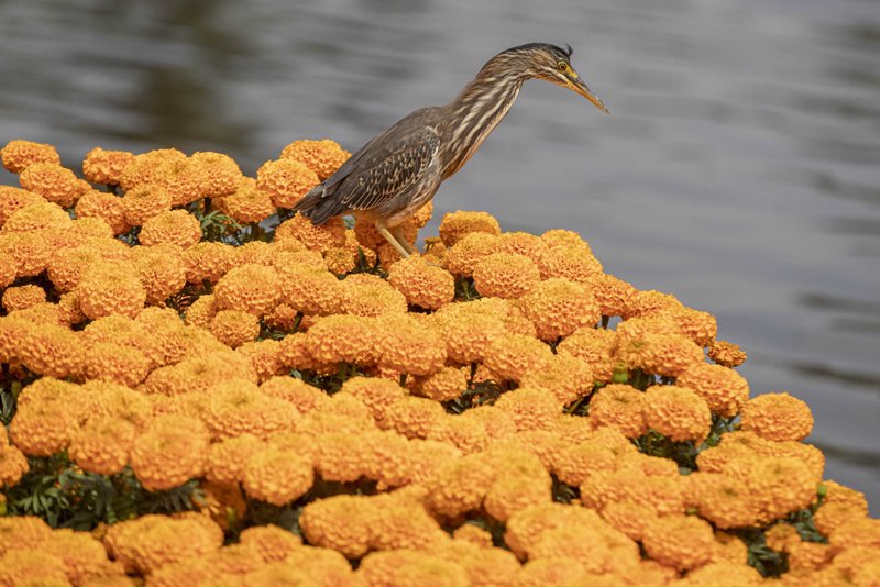 World in Photos : Oct. 13, 2020