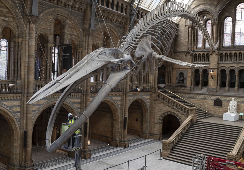 World in Photos : July 27, 2020