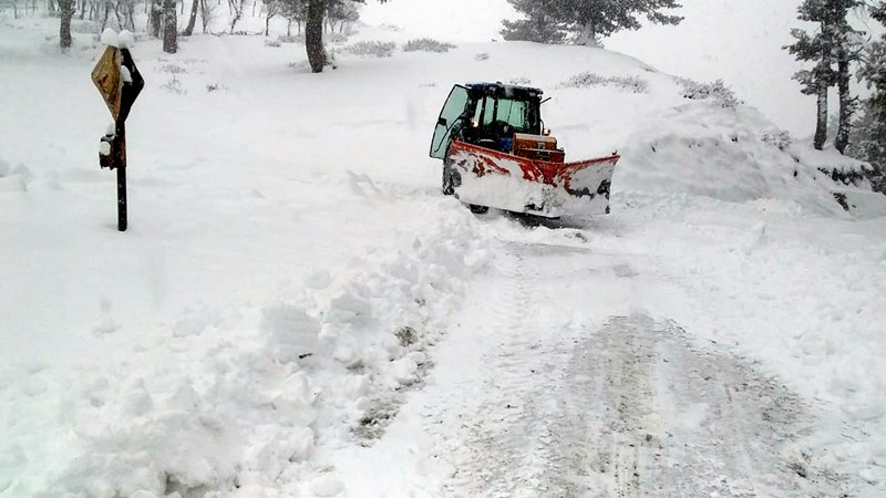Fresh snowfall in Srinagar