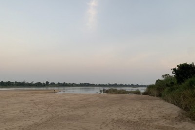 Tigers' return to Gadchiroli forests after 30 years spike human-animal