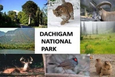 Kashmir: Crime Branch organises students tour to Dachigam Sanctuary