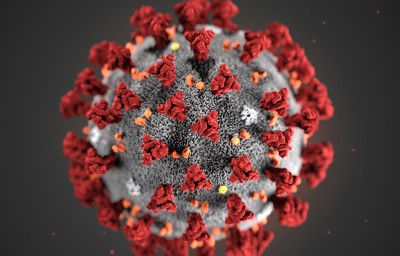 WHO establishes new scientific group to study COVID origins, prevent future pandemics