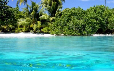 Illegal fishing in Vanuatu: Chinese fishing captains face jail