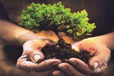 Kashmir: Forest Department conducts training on 'Implementation of Forest Rights Act 2006'