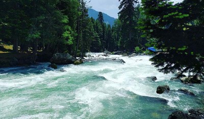 Chairperson FLO Jammu-Kashmir & Ladakh Chapter calls on LG