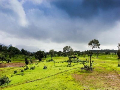 Monsoon to hit Kerala on June 1