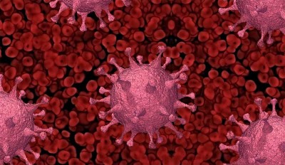 Three new COVID-19 variants circulate in 14 countries in the Americas - Health Agency