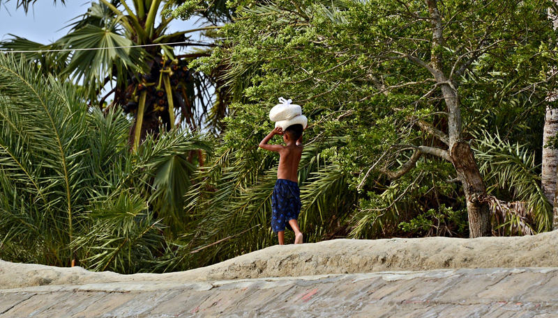 Sundarbans: Life After Cyclone Yaas