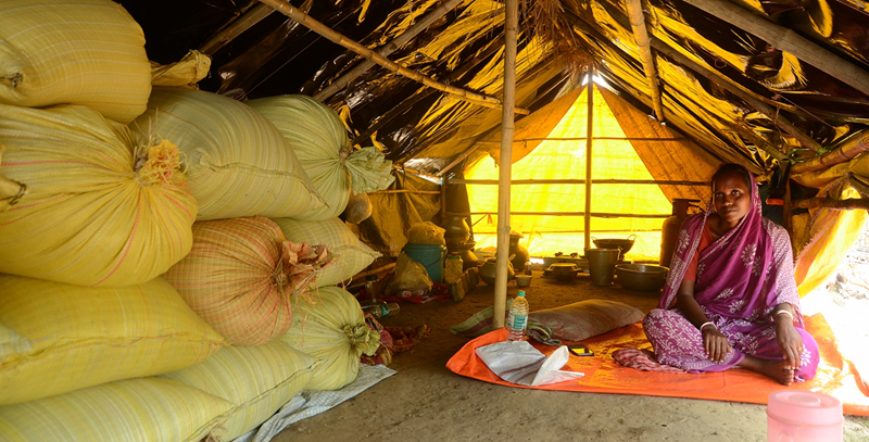 Sundarbans: Life After Cyclone Yaas